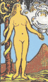 venus on a half shell